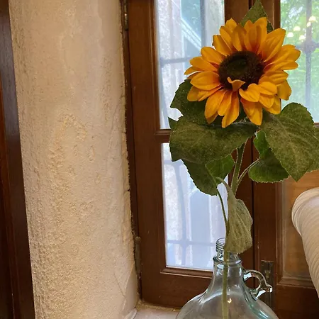 Апартаменты Charming Townhouse In Steps From Promenade And Ferry Слима